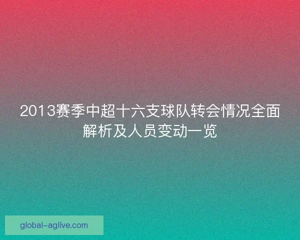 2013赛季中超十六支球队转会情况全面解析及人员变动一览