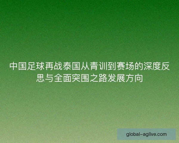 中国足球再战泰国从青训到赛场的深度反思与全面突围之路发展方向