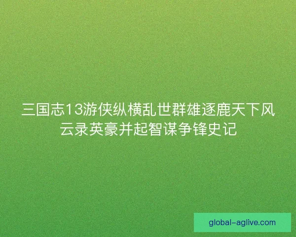 三国志13游侠纵横乱世群雄逐鹿天下风云录英豪并起智谋争锋史记